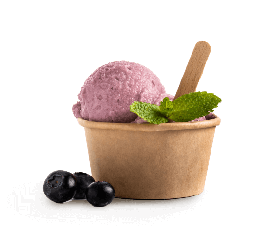 Plant based ice cream